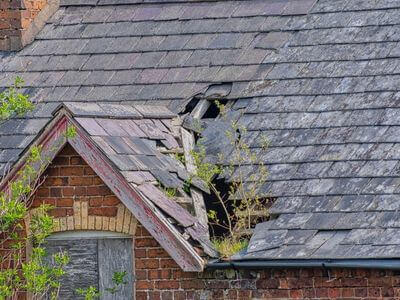 Professional emergency water extraction services services in Fairfax